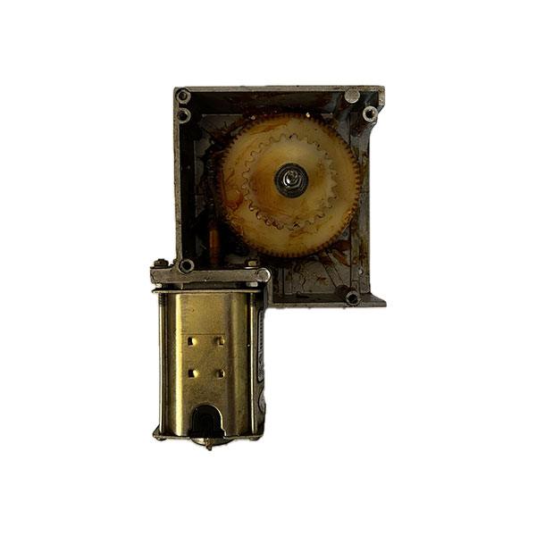 موتور گیربکس حلزونی ۲۲۰ ولت DC فولی زنجیری